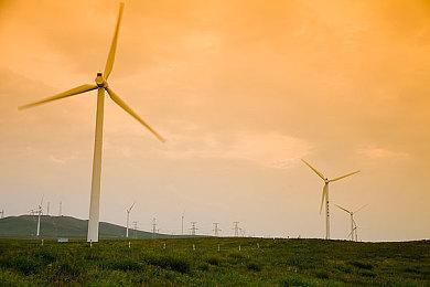 《宝可梦：大集结》Switch版预载开启 7月21日发售基本免费